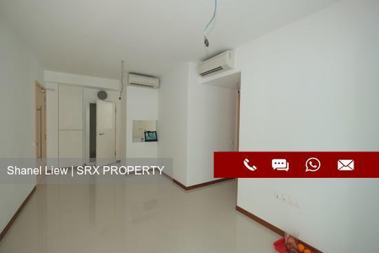 A Treasure Trove thumbnail photo